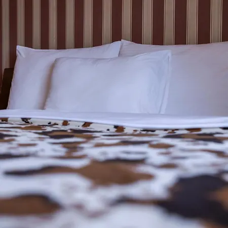 Garni Garson-lux Ns 4* Novi Sad