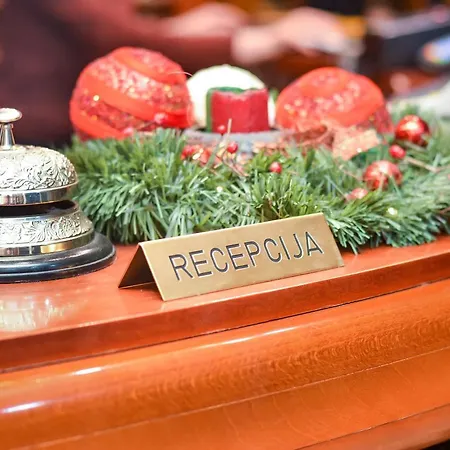 Garni Garson-lux Ns נובי סאד